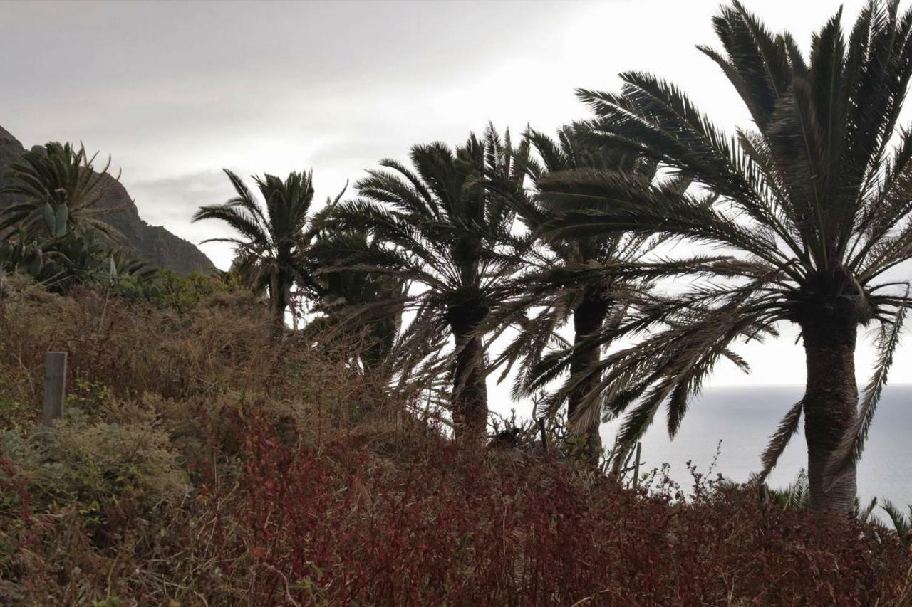 Oasis Atlantico: Rincon Secreto Al Pie De Los Senderos Azano エクステリア 写真