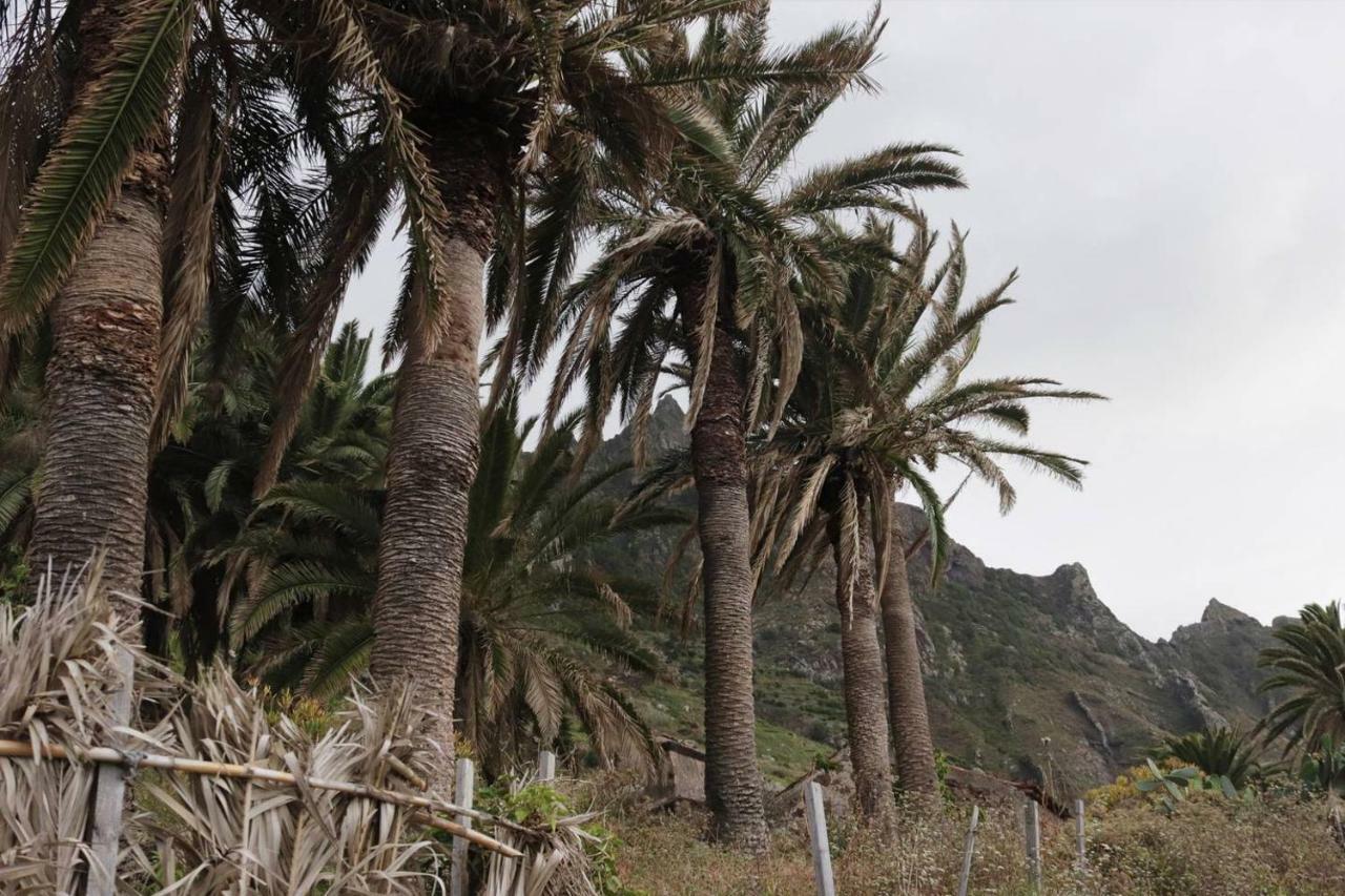 Oasis Atlantico: Rincon Secreto Al Pie De Los Senderos Azano エクステリア 写真